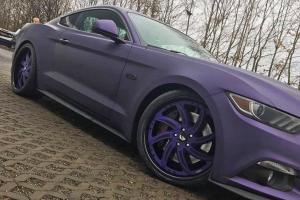 Ford Mustang GT on Forgiato Wheels (Azioni) '2016